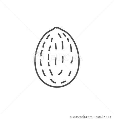 Flat outlined kiwi icon Flat outlined kiwi icon 40613473