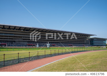 府東京賽馬場 府東京賽馬場 40613796