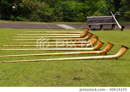 Alphorn Alphorn 40614243