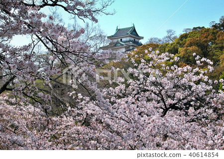 和歌山城 和歌山城 40614854