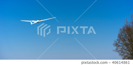Pure white Glider in clear blue sky flying over the treetop. Concept of success, achievement of high 40614861