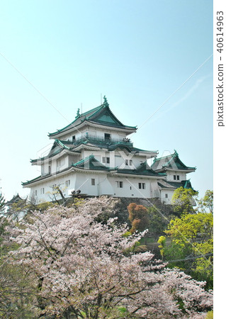 Wakayama Castle 40614963