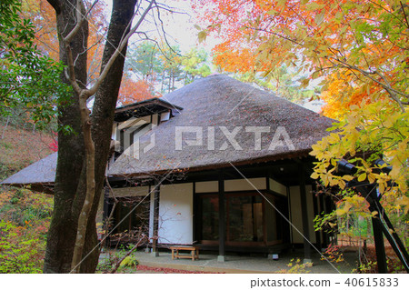 茅草屋頂和楓樹（福島縣，磐城市） 40615833