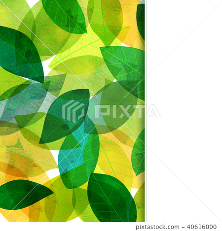 Leaky Leaf Texture Background Material Leaky Leaf Texture Background Material 40616000
