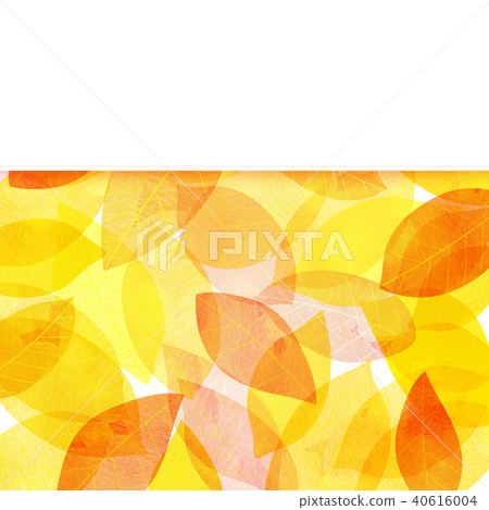 Leaky Leaf Texture Background Material Leaky Leaf Texture Background Material 40616004