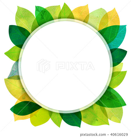 Leaky Leaf Texture Background Material Leaky Leaf Texture Background Material 40616029
