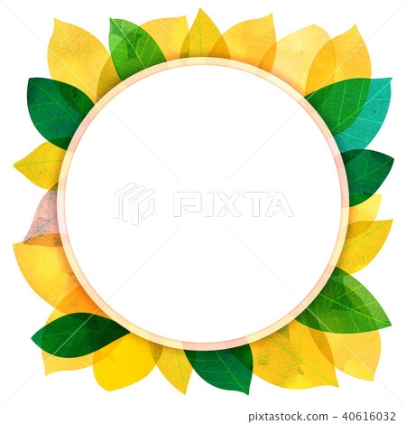 Leaky Leaf Texture Background Material Leaky Leaf Texture Background Material 40616032