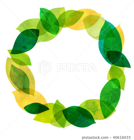 Leaky Leaf Texture Background Material Leaky Leaf Texture Background Material 40616035