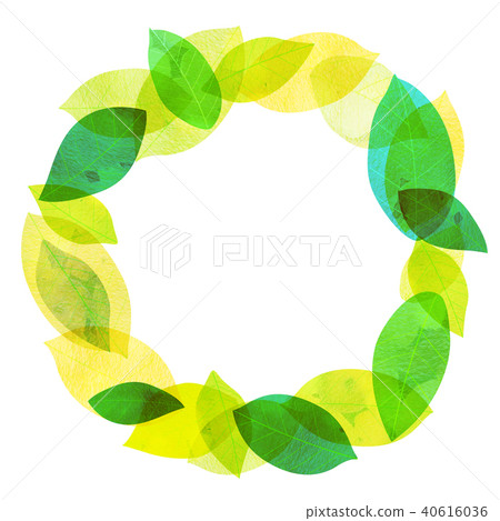 Leaky Leaf Texture Background Material Leaky Leaf Texture Background Material 40616036