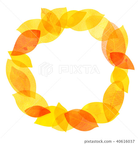 Leaky Leaf Texture Background Material Leaky Leaf Texture Background Material 40616037