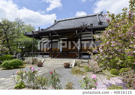 Honmanji Temple Main Hall Honmanji Temple Main Hall 40616110