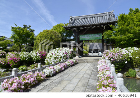 Mikan Temple Sanmon 40616941