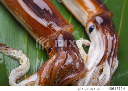 Surmeika food ingredients 40617114
