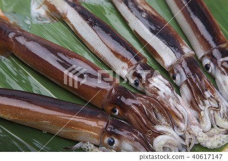 Surmeika food ingredients Surmeika food ingredients 40617147
