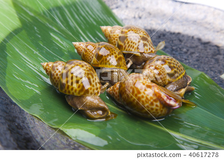 Baikai ingredients 40617278