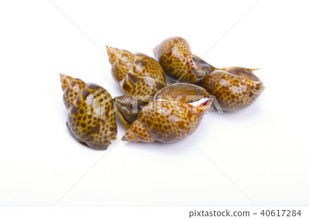 百凱成分 40617284