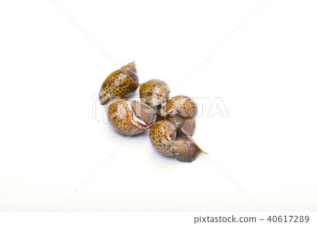 Baikai ingredients 40617289