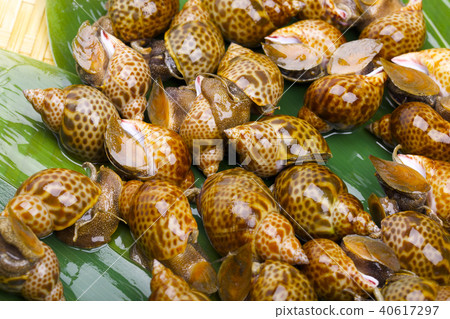 百凱成分 40617297