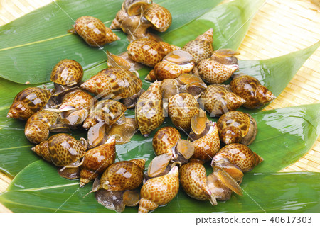 Baikai ingredients Baikai ingredients 40617303