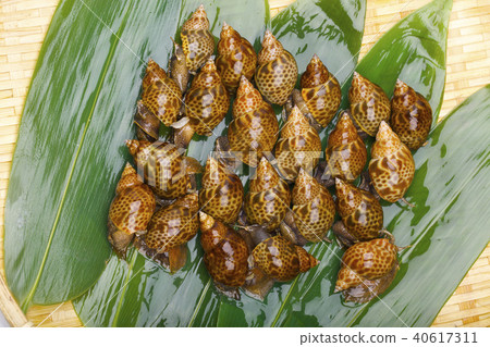 Baikai ingredients 40617311