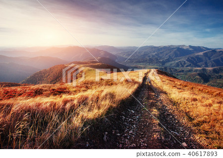 autumn alley. Beauty world. Carpathians. Ukraine, Europe autumn alley. Beauty world. Carpathians. Ukraine, Europe 40617893