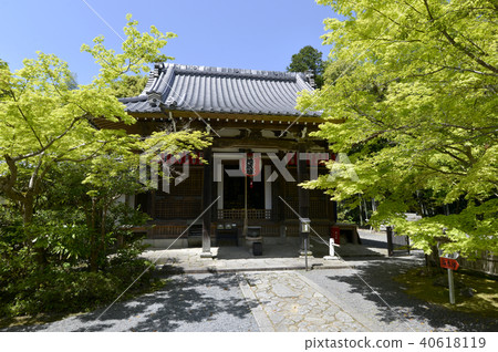 Akayama Yuin Mika (Kirara) Fudodo 40618119