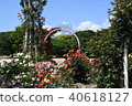 玫瑰和富士山 40618127
