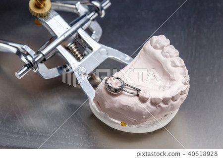 Gray dental prosthesis teeth mold, clay gums model Gray dental prosthesis teeth mold, clay gums model 40618928