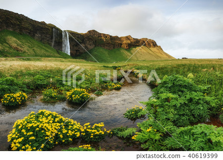 Seljalandfoss waterfall. Beautiful summer sunny day 40619399