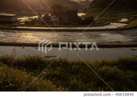 在Nagaya大阪府鼻子町清早採取的米大陽台 40619846
