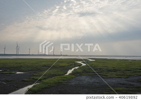 高美濕地 高美濕地 40619892