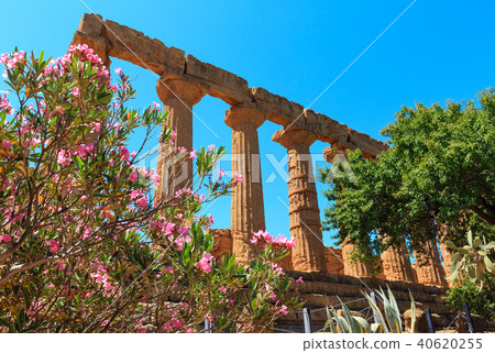 Valley of Temples, Agrigento, Sicily, Italy 40620255