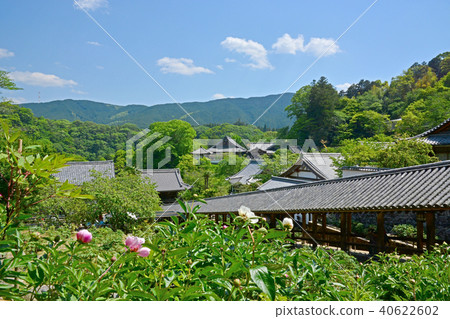 Hase Temple Hase Temple 40622602