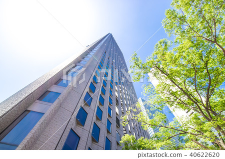 辦公區域的風景與綠色的 辦公區域的風景與綠色的 40622620