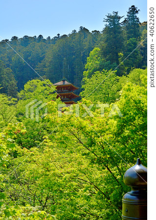Hase Temple 40622650