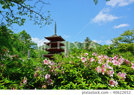 Hase Temple 40622652