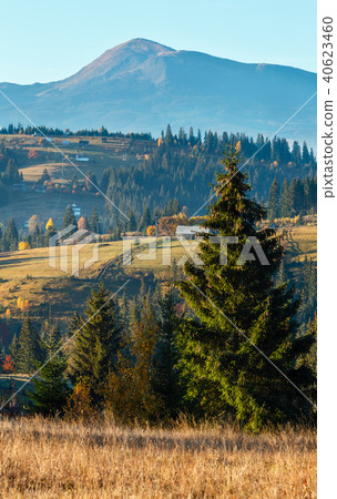Autumn Carpathian village, Ukraine. 40623460