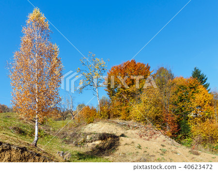 Autumn Carpathian mountains, Ukraine 40623472