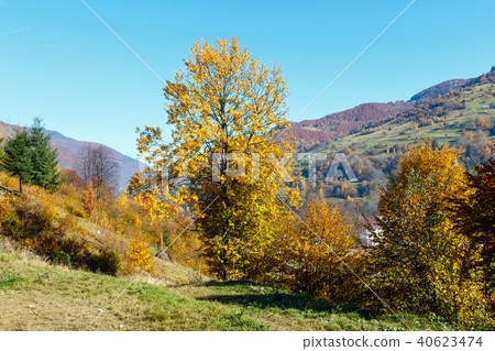 Autumn Carpathian mountains, Ukraine Autumn Carpathian mountains, Ukraine 40623474