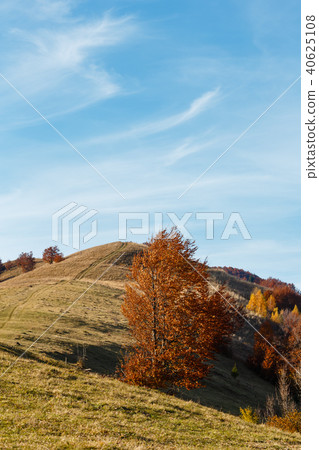 Autumn Carpathian mountain, Ukraine Autumn Carpathian mountain, Ukraine 40625108