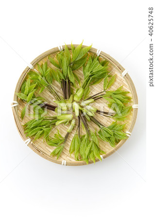 Koshi Aburori Mori 40625748