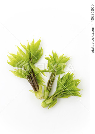 醬油 醬油 40625809