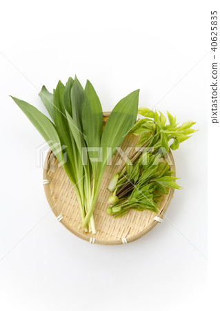 Soy sauce Soy sauce 40625835