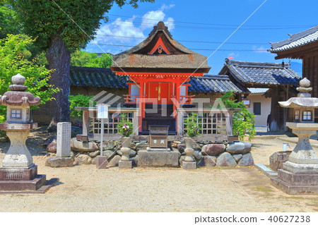 女士Takano Koin 40627238