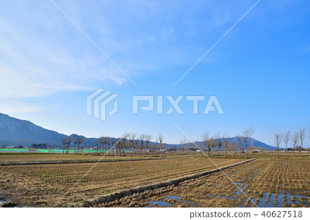 Natsui's Hatasaki (Niigata Prefecture) 40627518