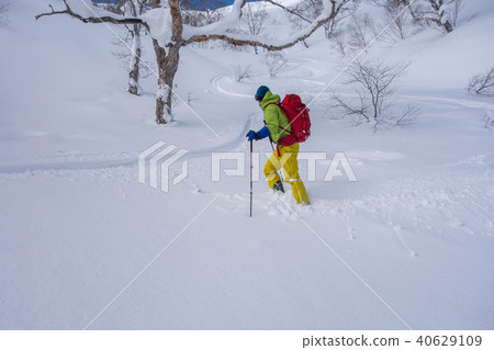 Back-country skiing at Dainugatake (Gujo City, Gifu Prefecture) *Photo position in the comment section of the work 40629109