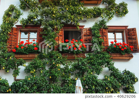 Typical Austrian Alpine house with bright flowers on the balcony 40629206