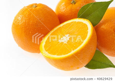 臍橙 臍橙 40629429