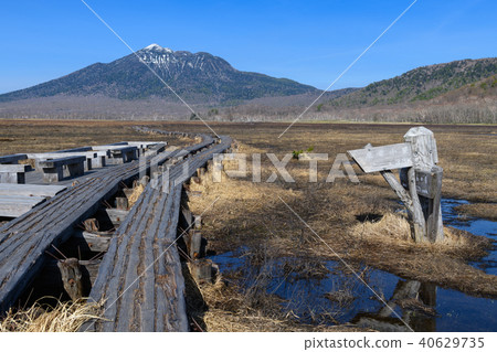 Ashigatake在春天如被看見從牛脖子分支 40629735