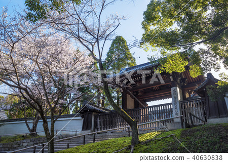 春天藍蓮花寺 春天藍蓮花寺 40630838